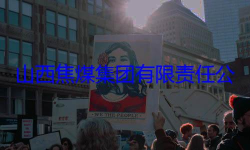 团有限责任公司原副总山西焦煤集经理杨新华接受审查调查